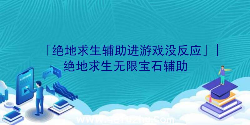 「绝地求生辅助进游戏没反应」|绝地求生无限宝石辅助